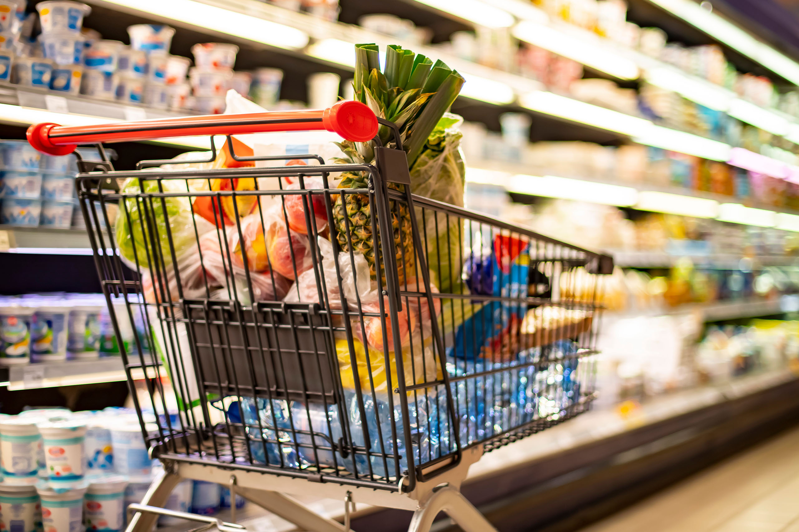 grocery