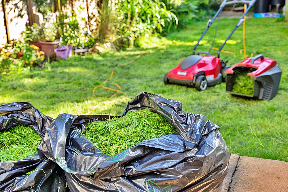 Amazing Can I Throw Grass Clippings In The Garbage View Collection Amazing Can I Throw Grass Clippings In The Garbage View Collection